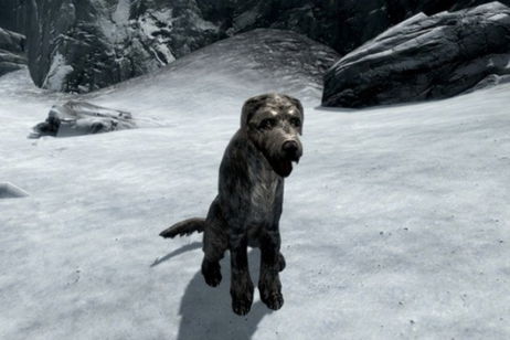 Skyrim: Los 15 compañeros, clasificados de peor a mejor Skyrim: Los 15 compañeros, clasificados de peor a mejor