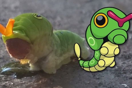 14 Pokémon que se inspiran en animales reales 14 Pokémon que se inspiran en animales reales