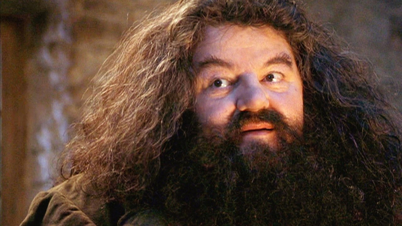 Hagrid Harry Potter