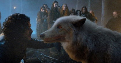 Juego de Tronos: Muere Fantasma, el lobo que George R.R. Martin adoptó en honor a la saga Juego de Tronos: Muere Fantasma, el lobo que George R.R. Martin adoptó en honor a la saga