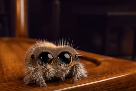 Un animador crea un cortometraje protagonizado por una adorable araña Un animador crea un cortometraje protagonizado por una adorable araña