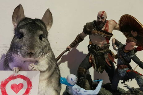 La mascota más jugona de Instagram es una chinchilla La mascota más jugona de Instagram es una chinchilla