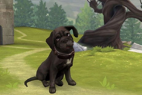 Harry Potter: Hogwarts Mystery revela quién le puso el nombre al perro de Hagrid Harry Potter: Hogwarts Mystery revela quién le puso el nombre al perro de Hagrid