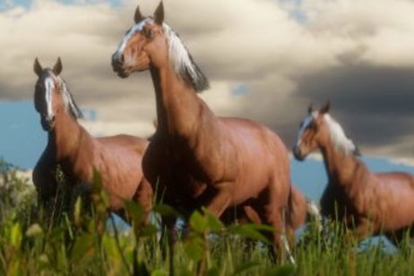 Una desarrolladora de Red Dead Redemption 2 asegura que se preocupan más de la gente que de los testículos de caballo Una desarrolladora de Red Dead Redemption 2 asegura que se preocupan más de la gente que de los testículos de caballo