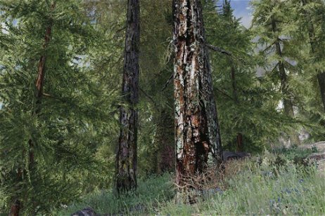 Skyrim convierte sus bosques en entornos ultrarrealistas con un mod