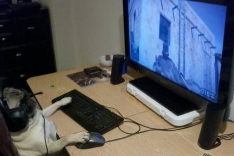 Pibones jugones comentan videojuegos en tu zona Pibones jugones comentan videojuegos en tu zona