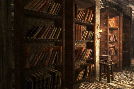 Un jugador de Skyrim se ha leído todos los libros que hay en el juego Un jugador de Skyrim se ha leído todos los libros que hay en el juego