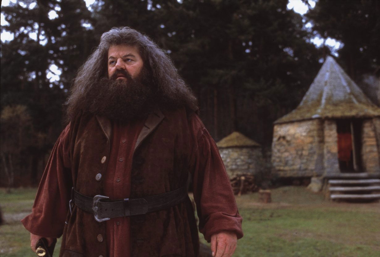 Hagrid espera paciente en Harry Potter