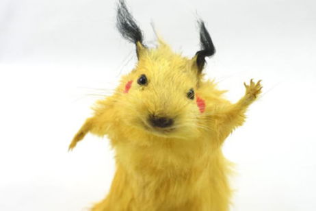 Este Pikachu disecado es lo más espeluznante que verás esta semana Este Pikachu disecado es lo más espeluznante que verás esta semana