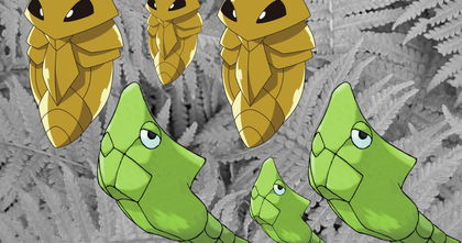 Las versiones realistas de Metapod y Kakuna no son tan adorables como las recuerdas Las versiones realistas de Metapod y Kakuna no son tan adorables como las recuerdas