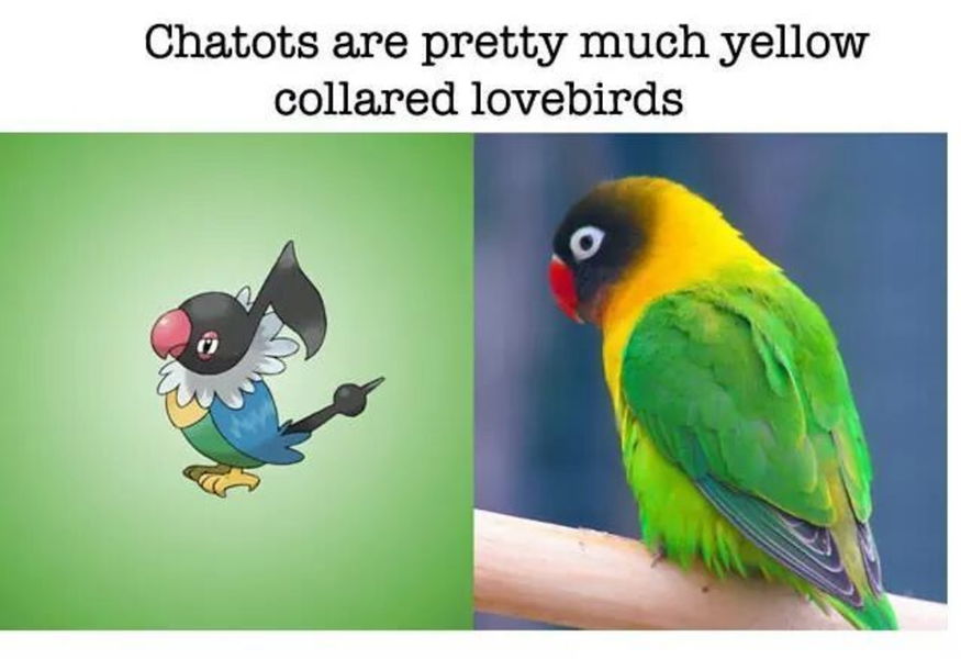 Chatots