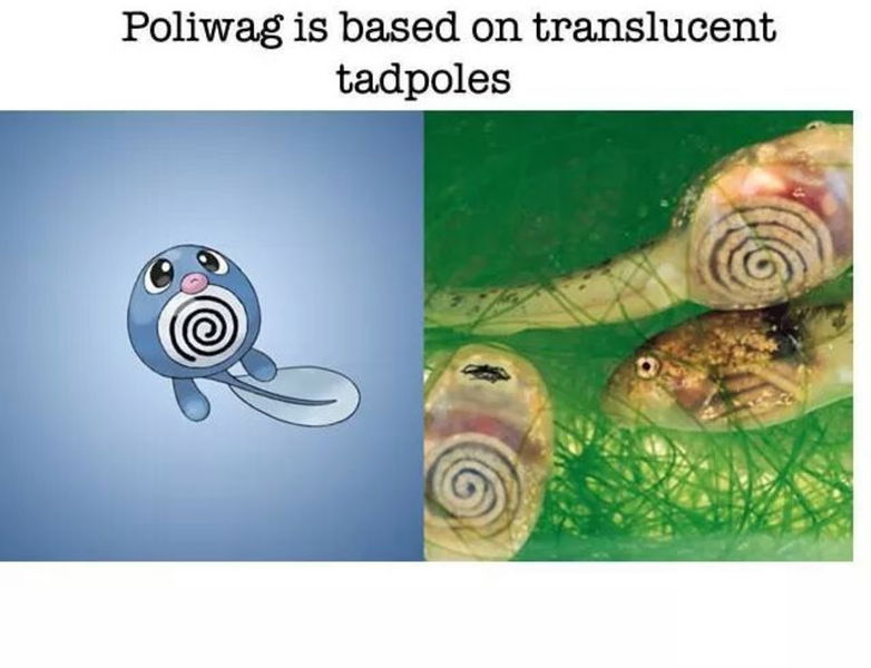 Poliwag