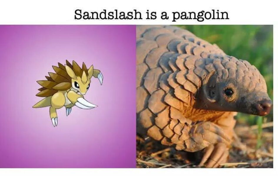 Sandslash