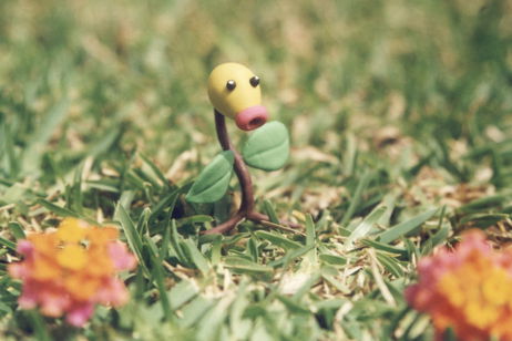 El tipo Planta no es tan simpático después de ver a Bellsprout y sus evoluciones Pokémon El tipo Planta no es tan simpático después de ver a Bellsprout y sus evoluciones Pokémon