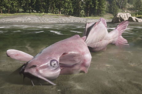 El correoso pez gato al fin ha conseguido ser pescado en Red Dead Redemption II El correoso pez gato al fin ha conseguido ser pescado en Red Dead Redemption II