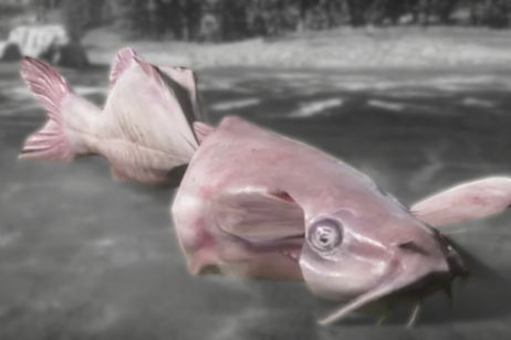 Este pez lleva un año resistiéndose a las dotes de pesca de los jugadores de Red Dead Redemption II Este pez lleva un año resistiéndose a las dotes de pesca de los jugadores de Red Dead Redemption II