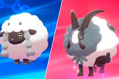 Pokémon inspirados en el mundo animal: Dubwool y Wooloo estarían basados en estas dos especies de ovejas