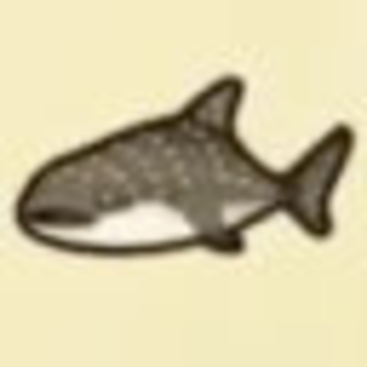 Tiburón ballena - Animal Crossing: New Horizons