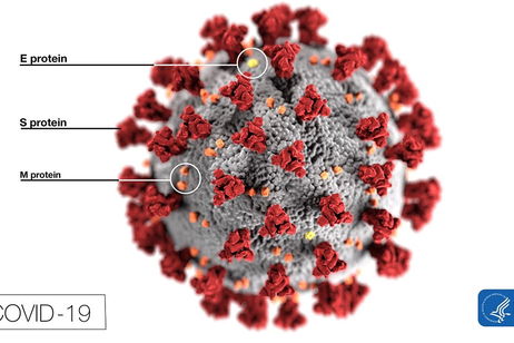 Un videojuego está siendo utilizado para combatir el coronavirus Un videojuego está siendo utilizado para combatir el coronavirus