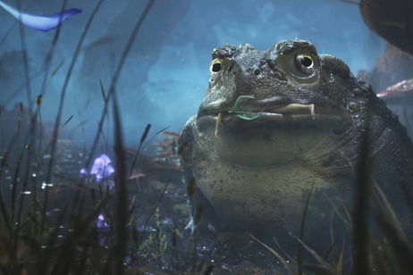El equipo de Fable está formado por talentos de Rockstar, Ninja Theory, BioWare y más El equipo de Fable está formado por talentos de Rockstar, Ninja Theory, BioWare y más