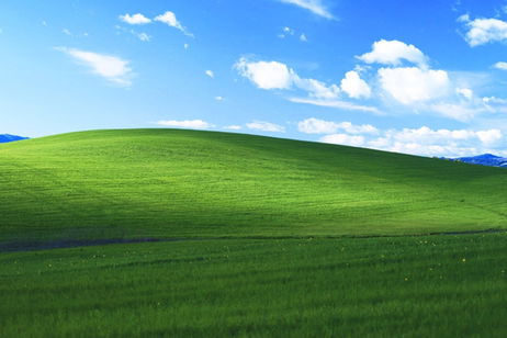 Un jugador de Flight Simulator encuentra el campo del fondo de escritorio de Windows XP Un jugador de Flight Simulator encuentra el campo del fondo de escritorio de Windows XP