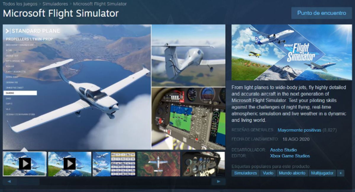 Microsoft Flight Simulator, guía y manual: cómo jugar y mejores trucos