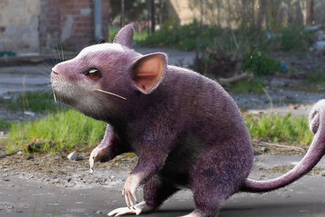 Fusionar al Pokémon Rattata con Ratatouille, una idea tan fantástica que debió existir mucho antes Fusionar al Pokémon Rattata con Ratatouille, una idea tan fantástica que debió existir mucho antes
