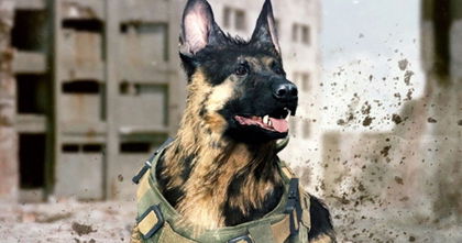 Enseña a su perro a jugar a Call of Duty y el resultado es sorprendente Enseña a su perro a jugar a Call of Duty y el resultado es sorprendente