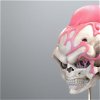 ¿Qué hay dentro del cráneo de Kid Buu? Este artista te deja verlo con todo lujo de detalles