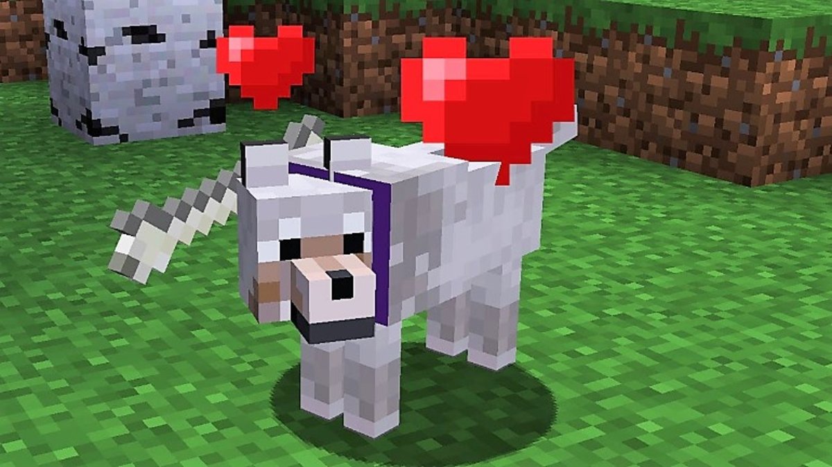 Perro domesticado - Minecraft