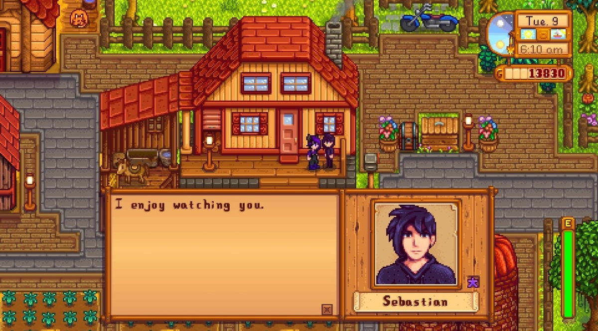 more-recipes-and-sebastian-10-heart-event-stardew-valley-take-out