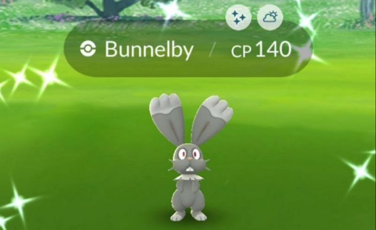 Pokemon GO Bunnelby Shiny