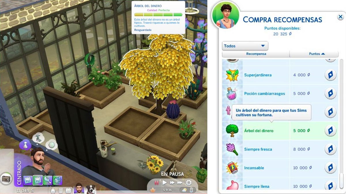 Cómo Crear Un Árbol Del Dinero En Los Sims 4