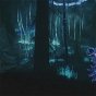 Convierte Skyrim en Dark Souls usando 500 mods