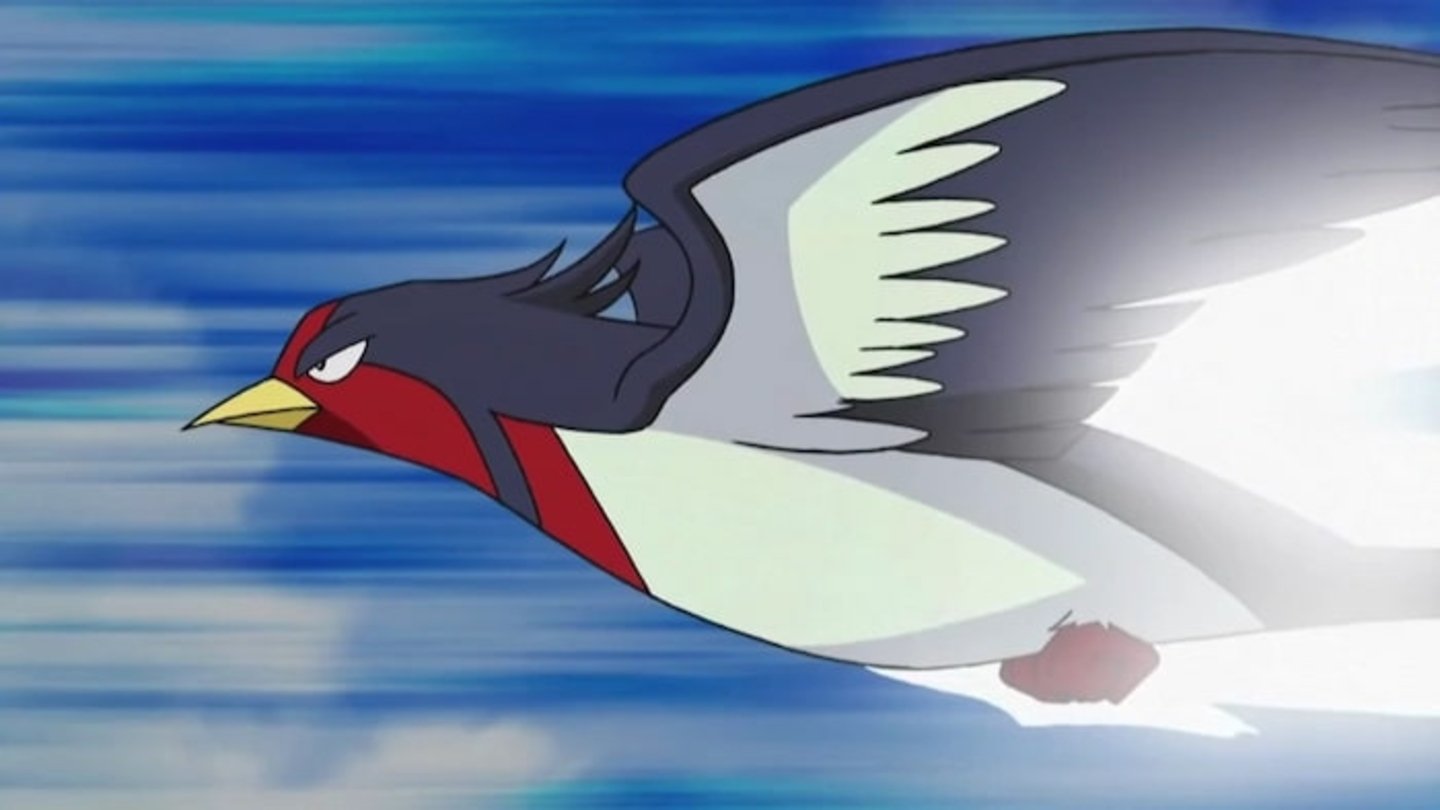 Swellow puede alcanzar grandes velocidades en vuelo y cazar a sus presas bajo el agua