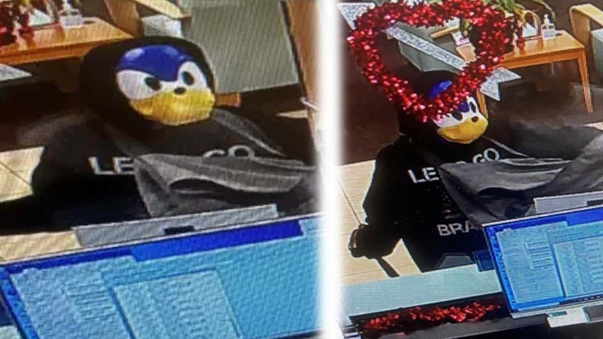 Ladrón con máscara de Sonic