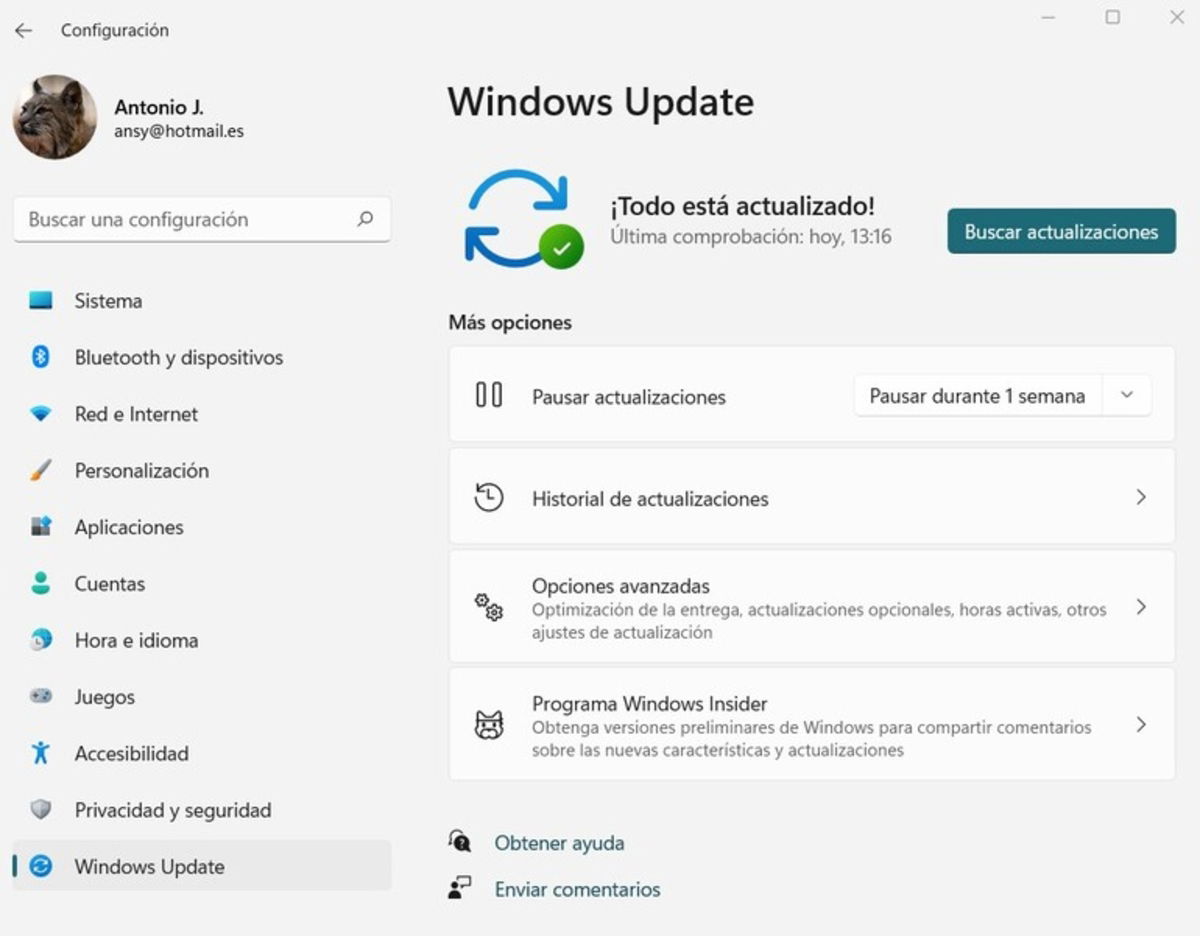Menú de Windows Update