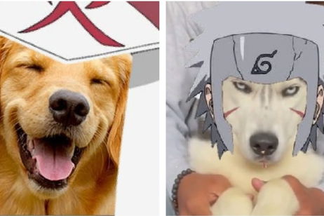 Se devela que el tercer Hokage de Naruto era un perro originalmente Se devela que el tercer Hokage de Naruto era un perro originalmente