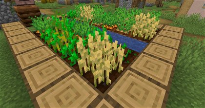 Este truco de Minecraft te permite conseguir cultivos de manera mucho más rápida