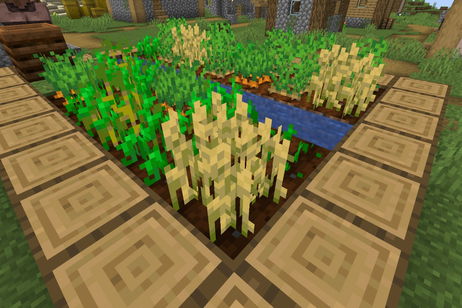 Este truco de Minecraft te permite conseguir cultivos de manera mucho más rápida Este truco de Minecraft te permite conseguir cultivos de manera mucho más rápida