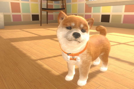 Un jugador se reencuentra con sus perros abandonados en Nintendogs y es lo mejor que verás hoy Un jugador se reencuentra con sus perros abandonados en Nintendogs y es lo mejor que verás hoy