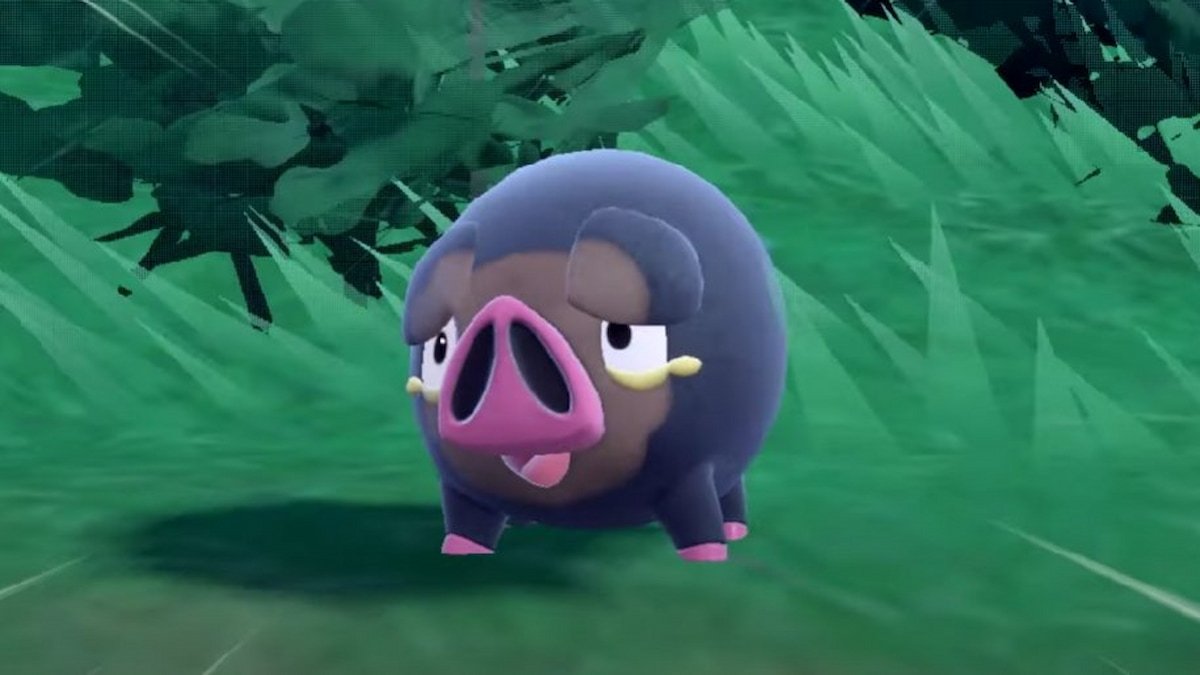 Lechonk es unode los nuevos pokémon regionles de Pokémon Escarlata y Púrpura