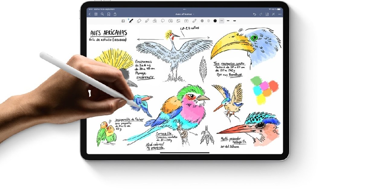 iPad Air y Apple Pencil