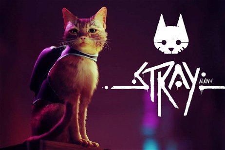 Stray está consiguiendo salvar a gatos sin hogar en la vida real