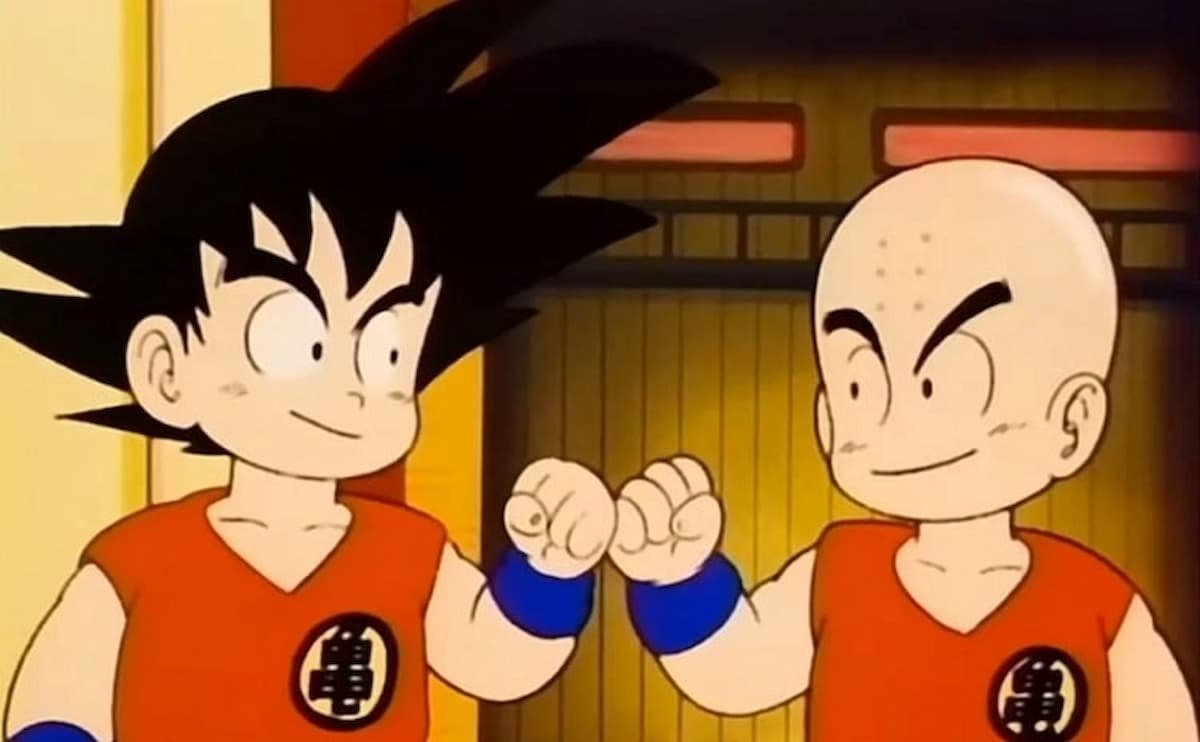 Goku y Krillin han forjado una gran amistad para toda la vida