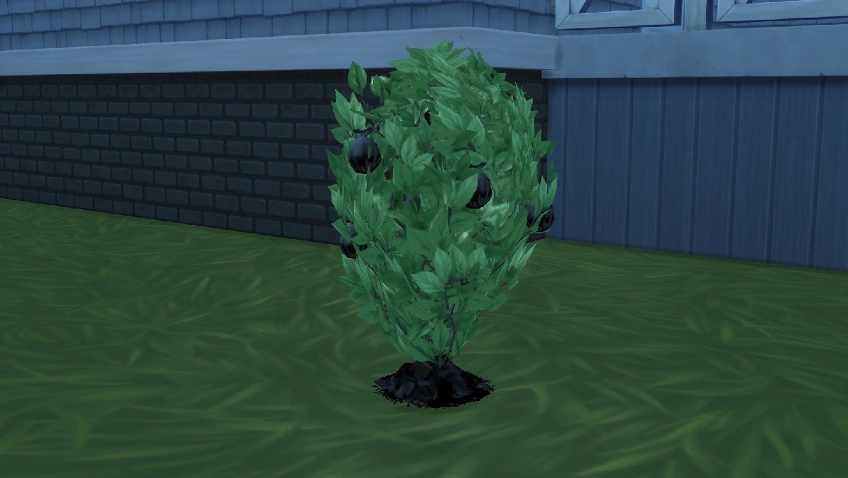 Planta Basura de Los Sims 4