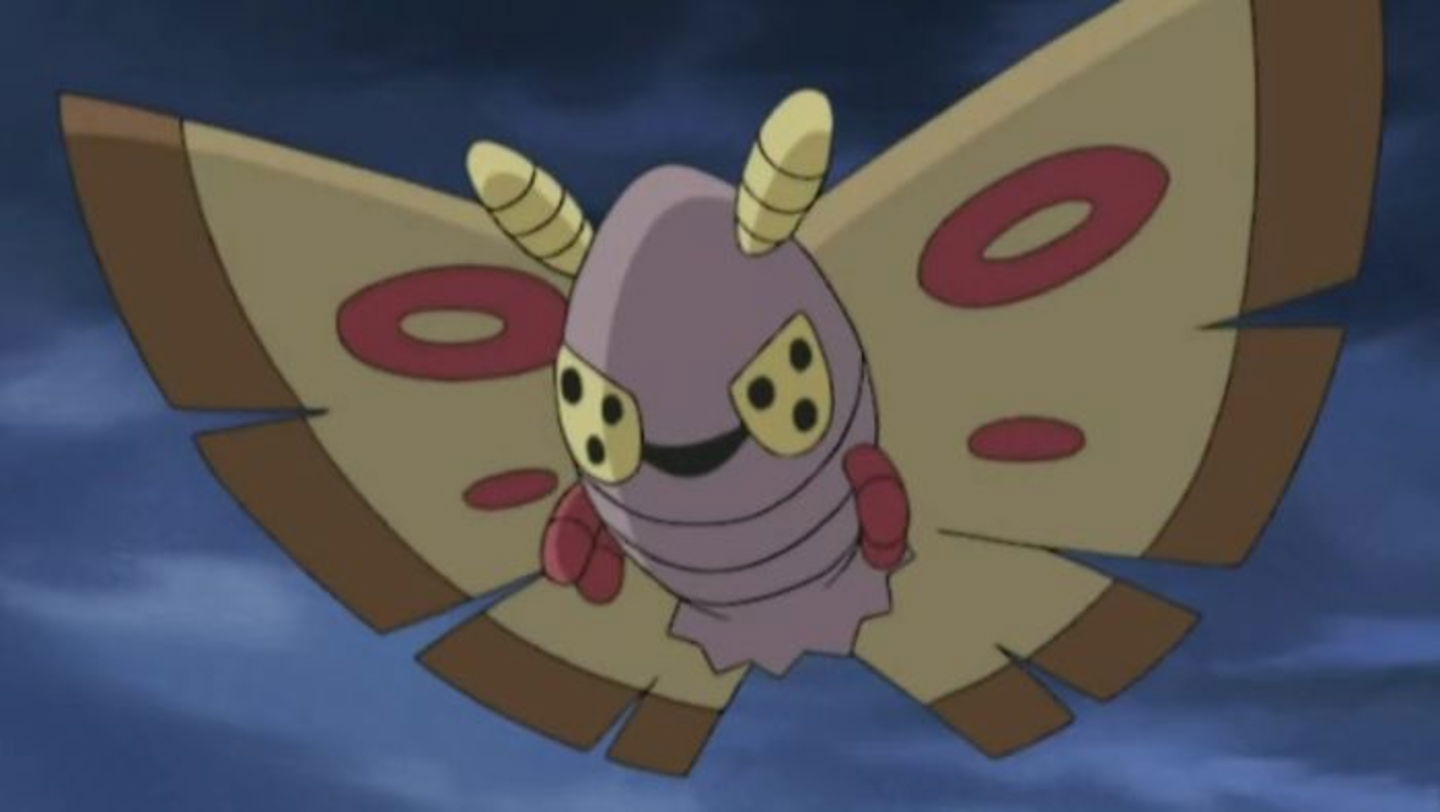 Dustox de Austin