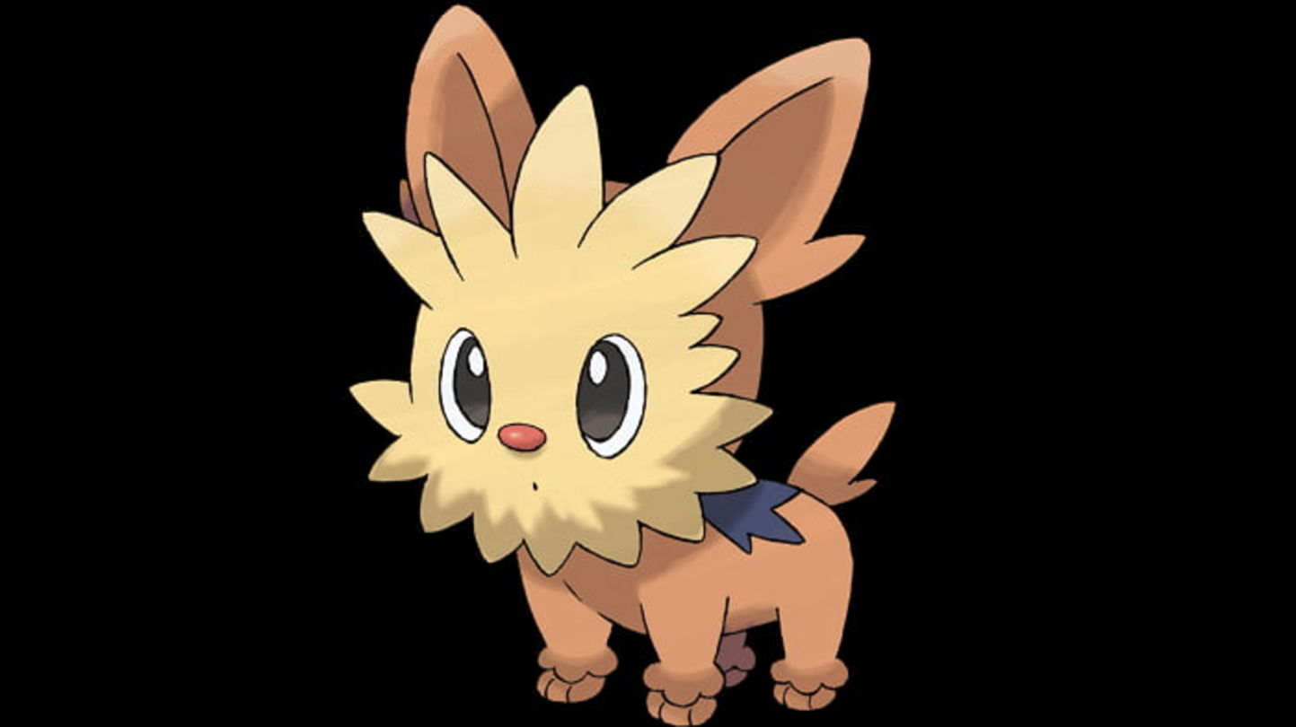 Lillipup