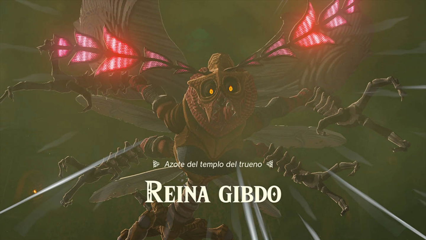 Reina Gibdo en Zelda Tears of the Kingdom