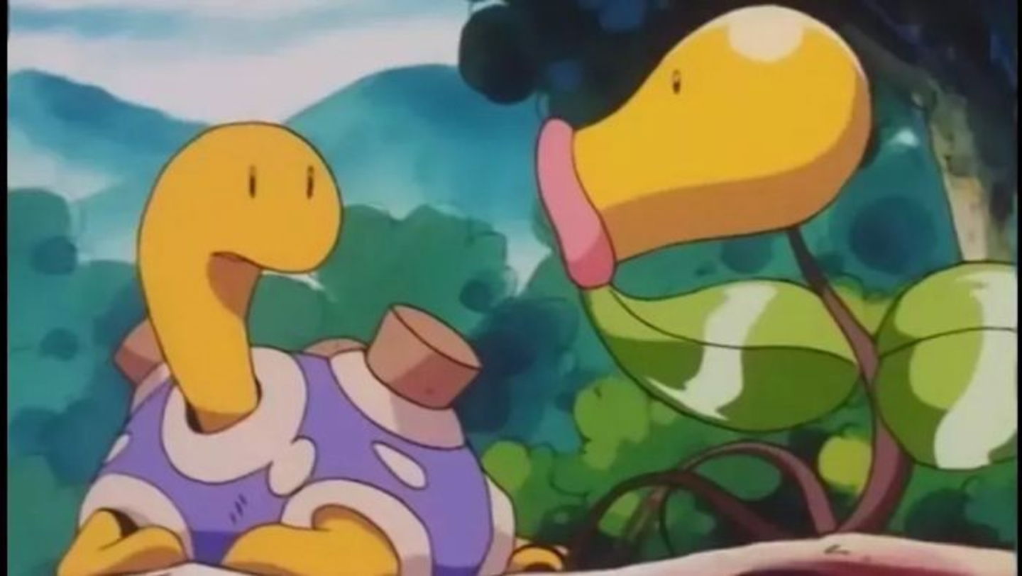 Shuckle del Viejo Shuckle